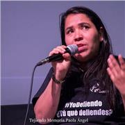 Español, Ajedrez, fotografía, periodismo, investigación